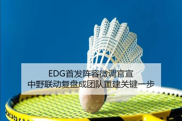 EDG首发阵容微调官宣 中野联动复盘成团队重建关键一步（YABO）